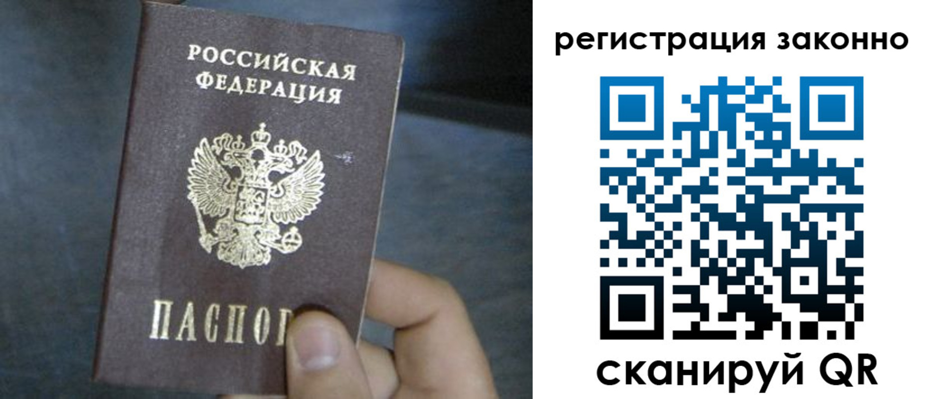 где прописаться в Лосино-Петровском